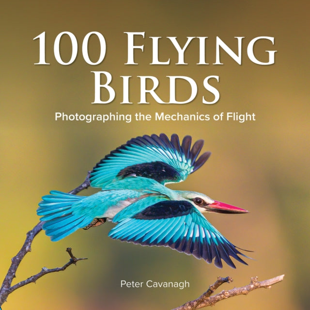 Book cover of: 100 Flying Birds. By: Peter Cavanagh