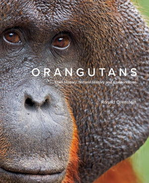 Orangutans, Their History, Natural History and Conservation
