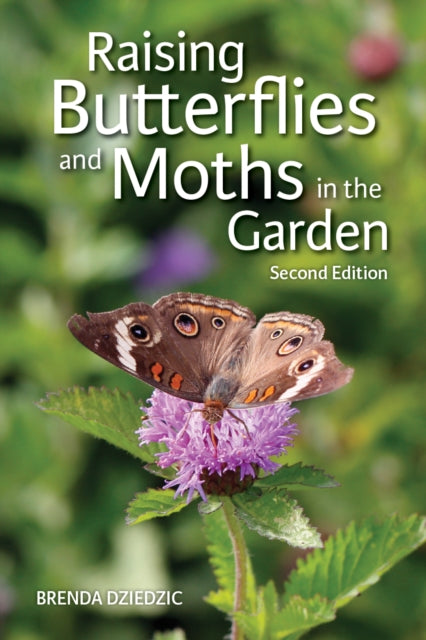 Book cover of: Raising Butterflies and Moths in the Garden. By: Brenda Dziedzic