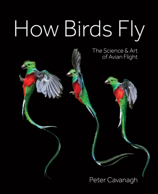 Book cover of: How Birds Fly. By: Peter Cavanagh