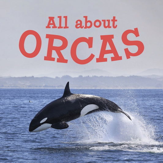 Book cover of: All about Orcas. By: Jordan Hoffman