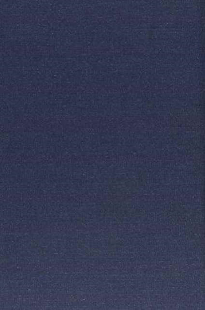 Book cover of: Lesbian Postmodern