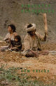 Book cover of: Himalayan Households