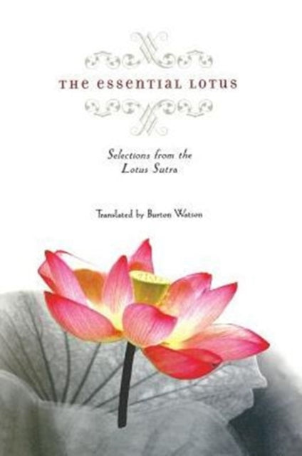 Book cover of: Essential Lotus. By: Burton Watson
