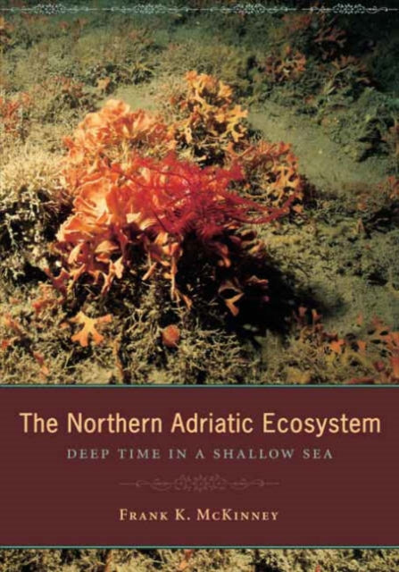 Book cover of: Northern Adriatic Ecosystem. By: Frank K. McKinney