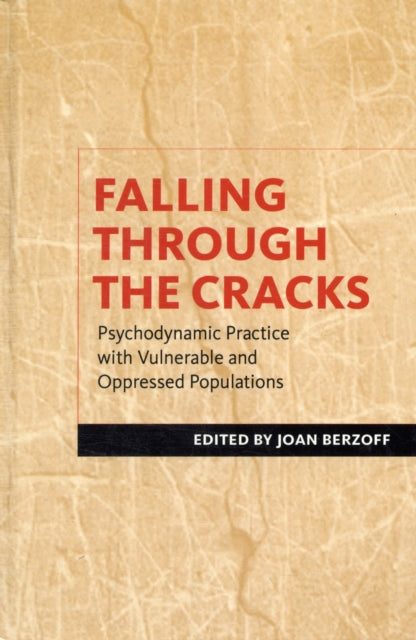 Book cover of: Falling Through the Cracks. By: Joan Berzoff