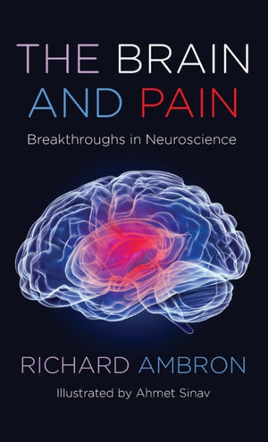 Brain and Pain