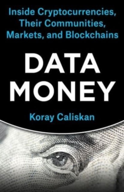 Book cover of: Data Money. By: Koray Caliskan