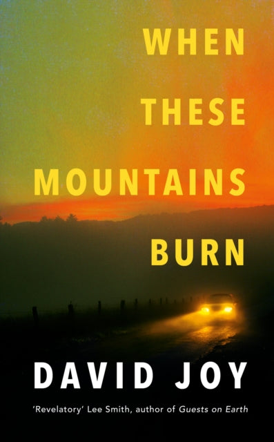 Book cover of: When These Mountains Burn. By: David Joy