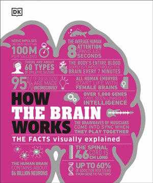 How the Brain Works