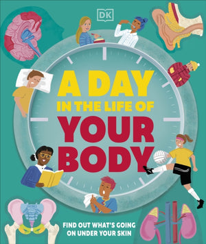 Day in the Life of Your Body, Find Out What's Going on Under Your Skin