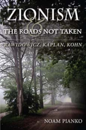 Zionism and the Roads not Taken