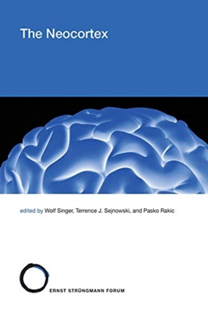 Neocortex