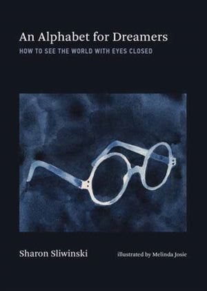 Alphabet for Dreamers, An, How to See the World with Eyes Closed