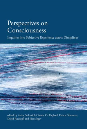 Perspectives on Consciousness