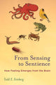 Book cover of: From Sensing to Sentience. By: Todd E. Feinberg