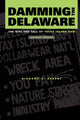 Book cover of: Damming the Delaware. By: Richard C. Albert