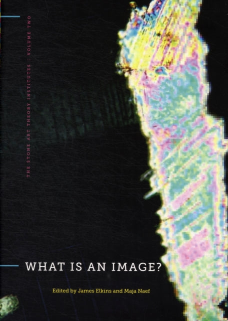 Book cover of: What Is an Image?. By: James Elkins
