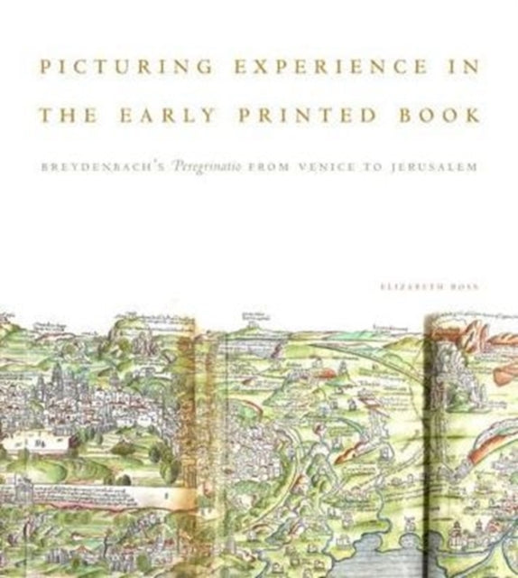 Book cover of: Picturing Experience in the Early Printed Book