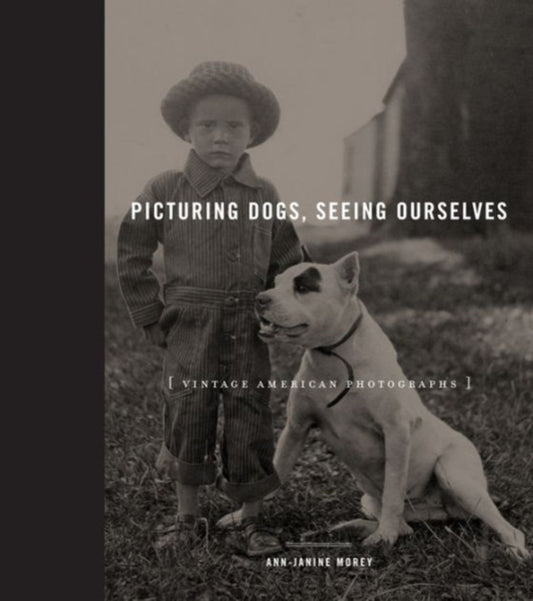 Book cover of: Picturing Dogs, Seeing Ourselves
