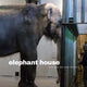 Book cover of: Elephant House. By: Dick Blau