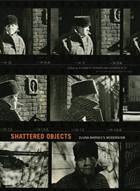 Book cover of: Shattered Objects