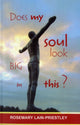 Book cover of: Does My Soul Look Big in This?