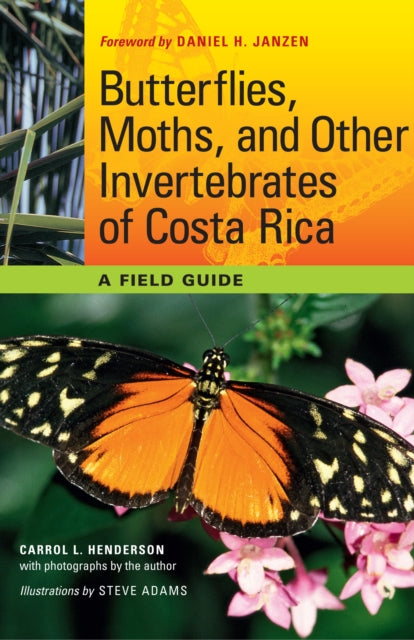 Costa Rica liblikad, koid ja muud selgrootud