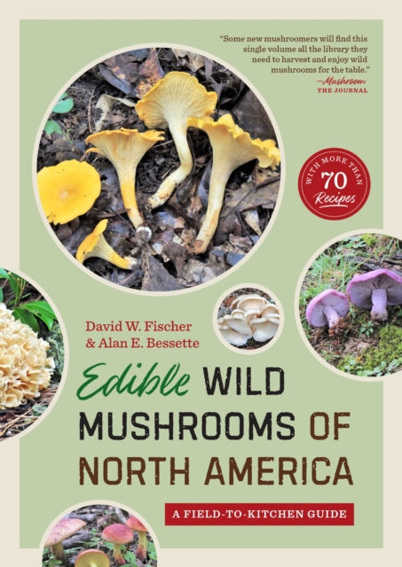 Book cover of: Edible Wild Mushrooms of North America. By: David W. Fischer