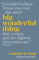 Book cover of: Big Wonderful Thing. By: Stephen Harrigan