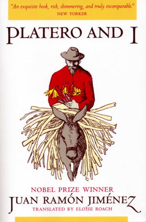 Platero ja mina