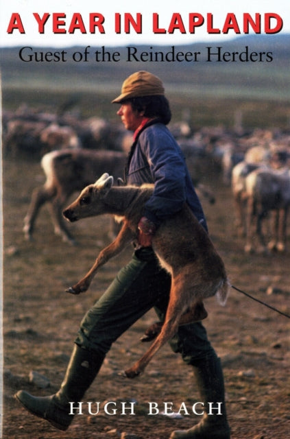 Book cover of: Year in Lapland