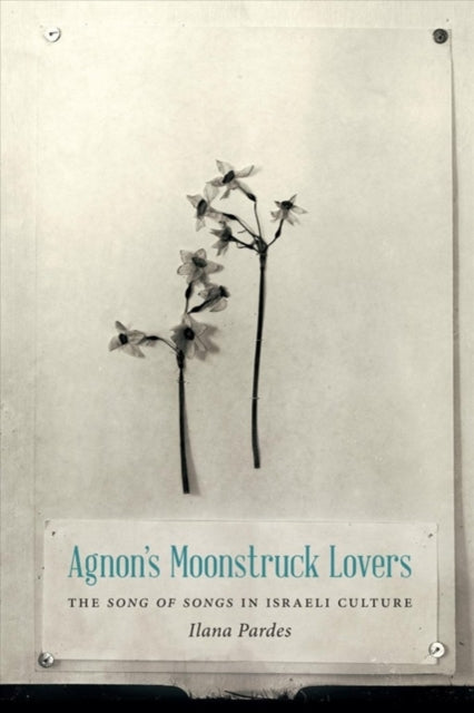 Book cover of: Agnon's Moonstruck Lovers. By: Ilana Pardes