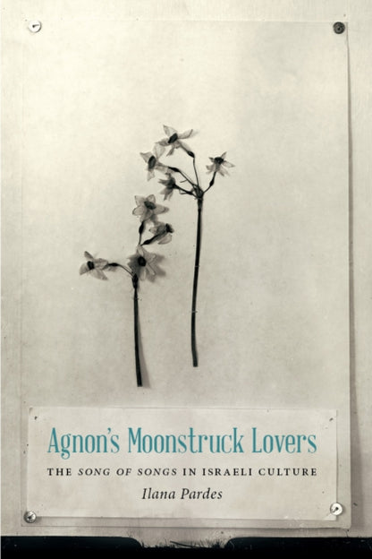Book cover of: Agnon's Moonstruck Lovers. By: Ilana Pardes