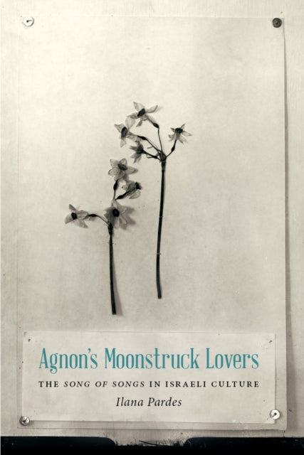 Book cover of: Agnon's Moonstruck Lovers. By: Ilana Pardes
