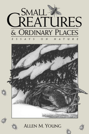 Small Creatures and Ordinary Places