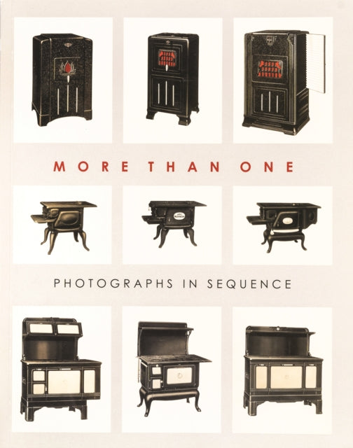 Book cover of: More than One