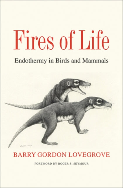 Book cover of: Fires of Life. By: Barry Gordon Lovegrove