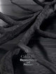 Book cover of: Allora & Calzadilla Specters of Noon. By: Michelle White