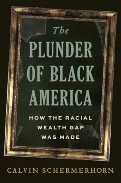 Book cover of: Plunder of Black America. By: Calvin Schermerhorn