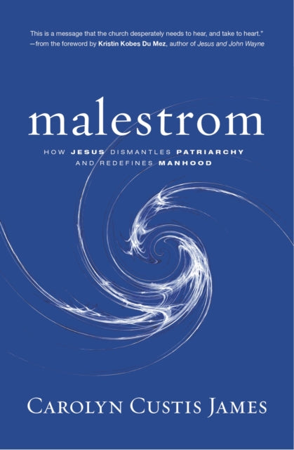 Book cover of: Malestrom. By: Carolyn Custis James