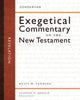 Book cover of: Revelation. By: Fanning, Buist M., III