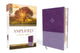 Book cover of: Amplified Study Bible, Leathersoft, Purple