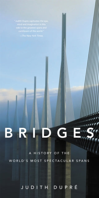 Book cover of: Bridges (New edition). By: Judith Dupre
