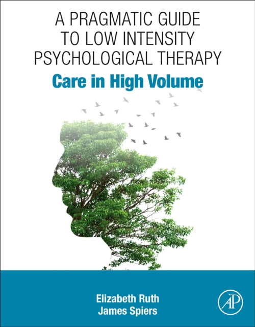 Book cover of: Pragmatic Guide to Low Intensity Psychological Therapy. By: Elizabeth Ruth