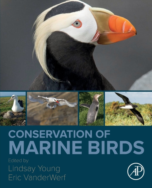 Book cover of: Conservation of Marine Birds. By: Lindsay Young