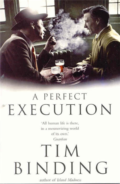 Book cover of: Perfect Execution. By: Tim Binding