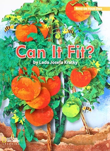 Book cover of: ROYO READERS LEVEL A CAN IT FI T