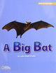 Book cover of: ROYO READERS LEVEL A A BIG BAT
