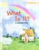 Book cover of: ROYO READERS LEVEL A WHAT IS I T